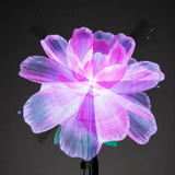 43cm 3D Hologram Fan Display with 2m Stand and Remote — led flower display